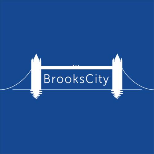 BrooksCity Chartered Accountants London