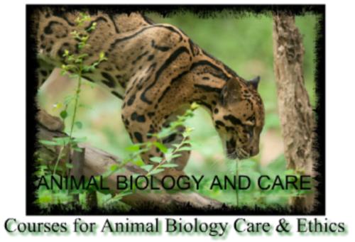 Animal Biology and Care Education Norwich