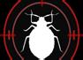 Bed Bug Hunters London